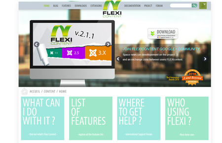 FLEXIcontent Official Site Image 1
